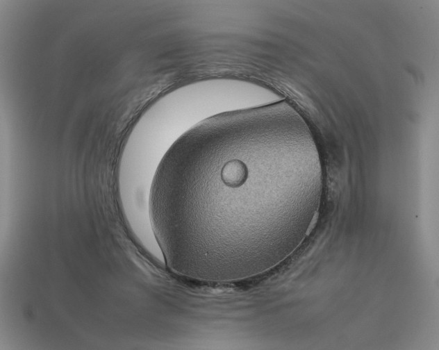 X0000113780401200910071228