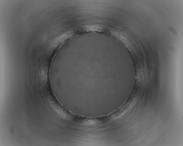 X0000113780402200910071228