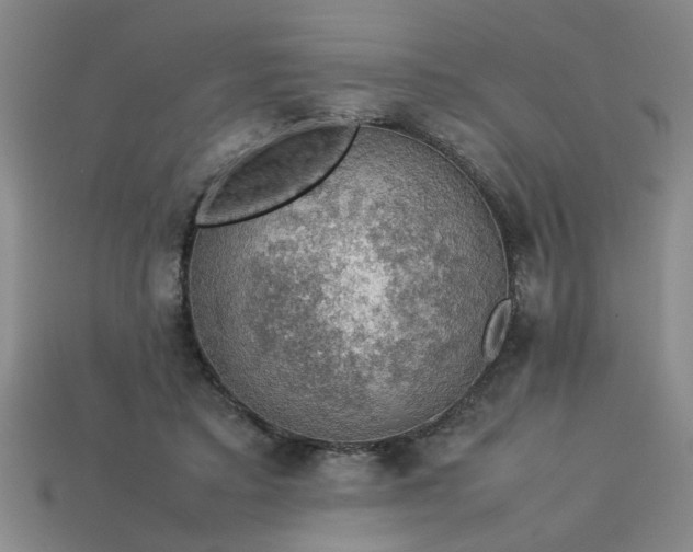 X0000113780403200910071228