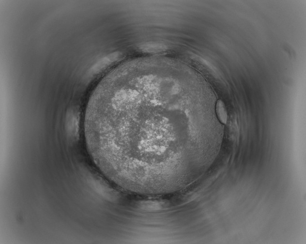 X0000113780404200910071228