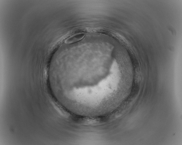 X0000113780405200910071228