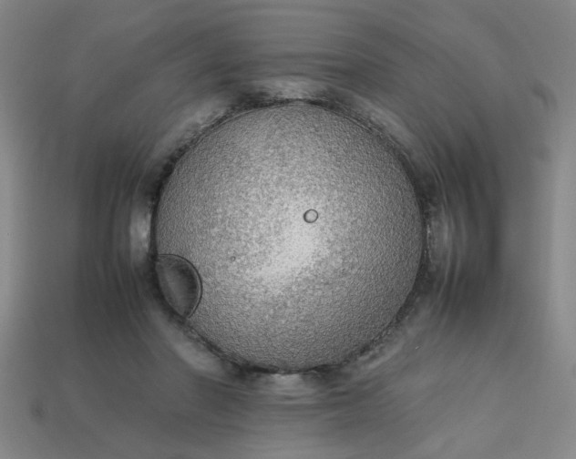 X0000113780406200910071228