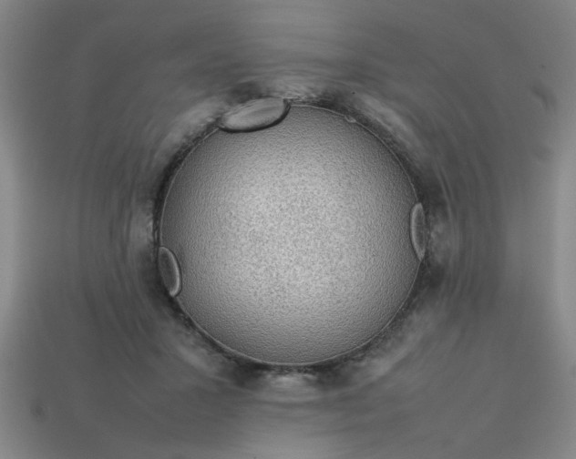 X0000113780407200910071228