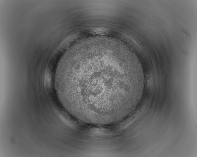 X0000113780408200910071228