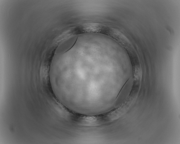 X0000113780409200910071228