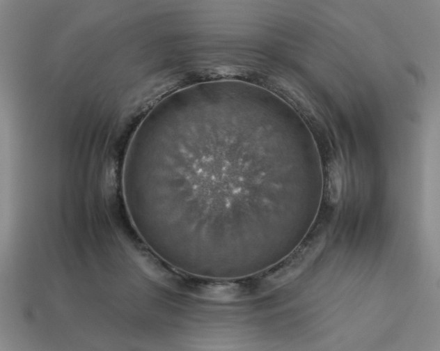 X0000113780410200910071228