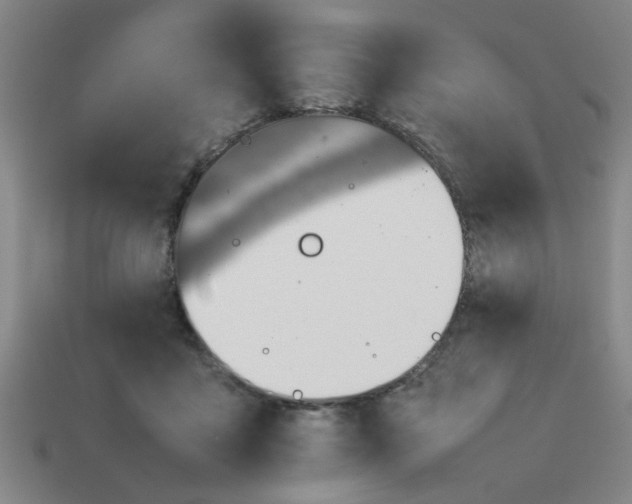 X0000113780411200910071228