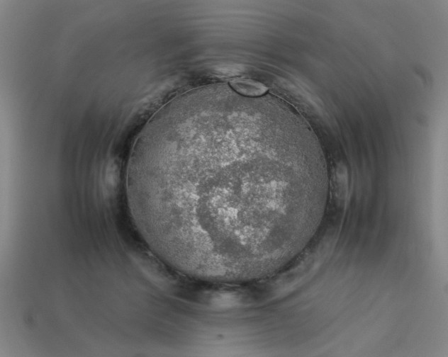 X0000113780412200910071228