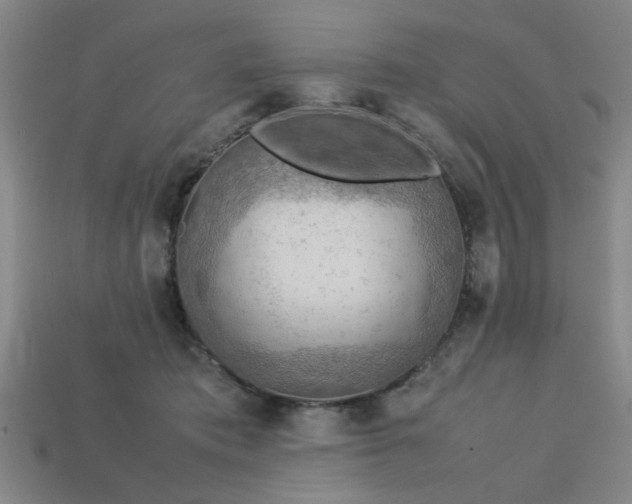 X0000113780413200910071228