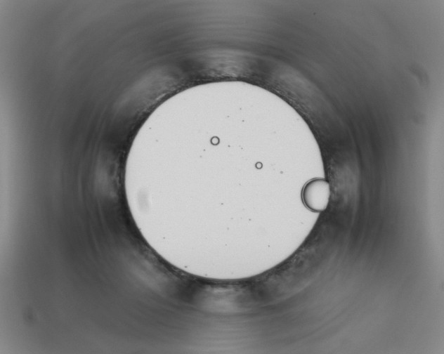 X0000113780414200910071228