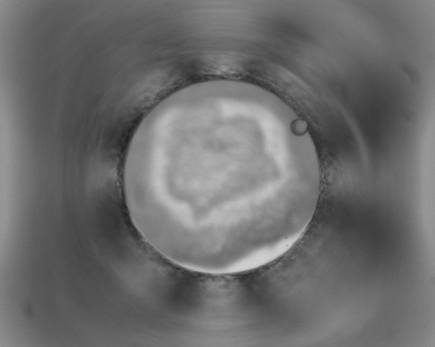 X0000113780415200910071228