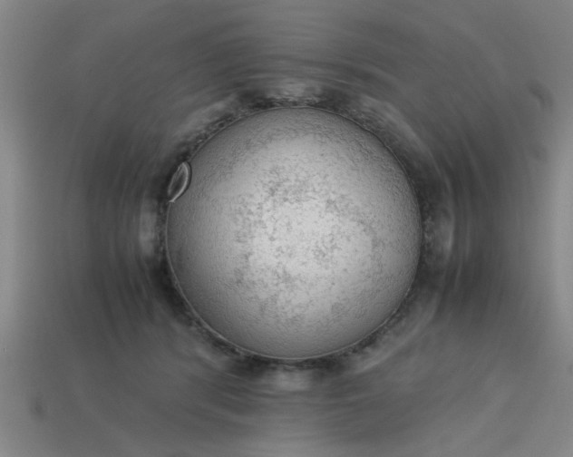 X0000113780416200910071228