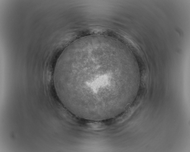 X0000113780417200910071228