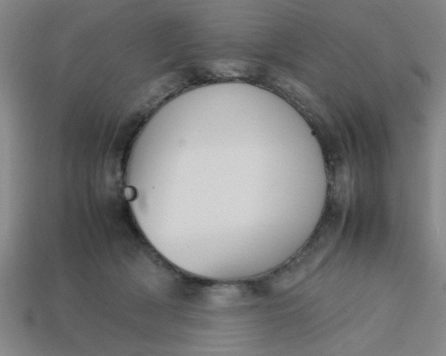 X0000113780418200910071228