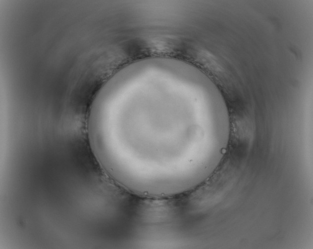 X0000113780419200910071228