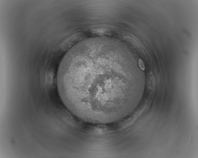 X0000113780420200910071228