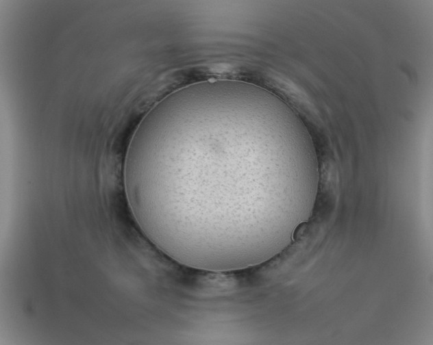 X0000113780421200910071228