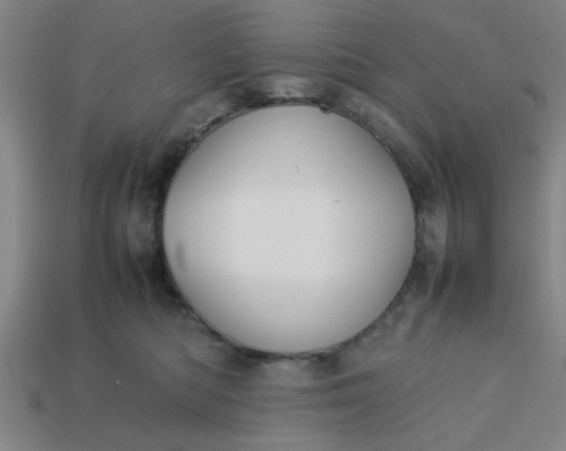 X0000113780422200910071228