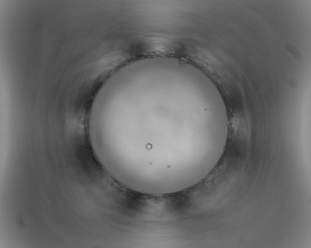 X0000113780423200910071228