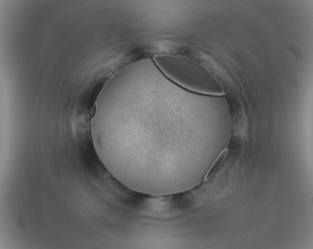 X0000113780425200910071227