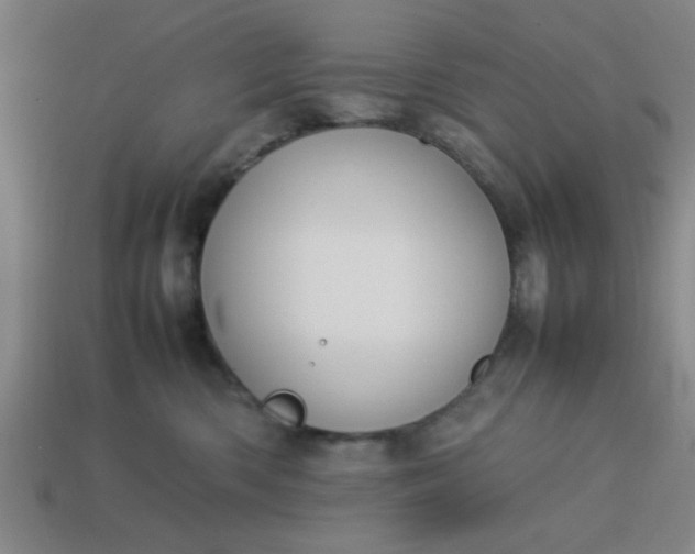 X0000113780426200910071227