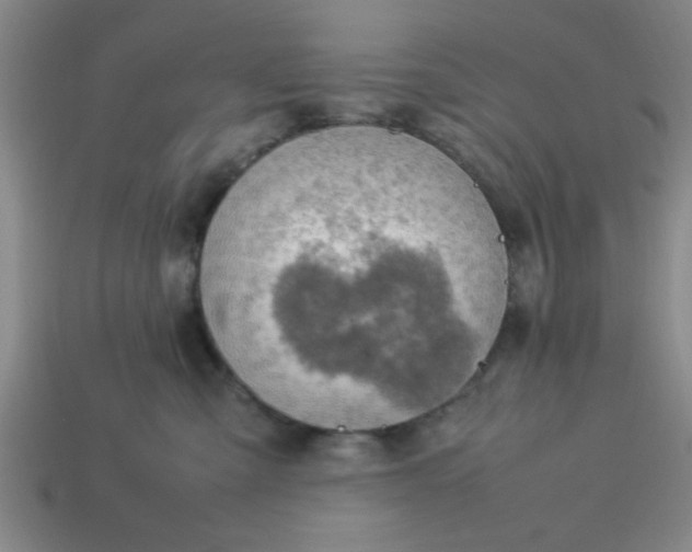 X0000113780427200910071227