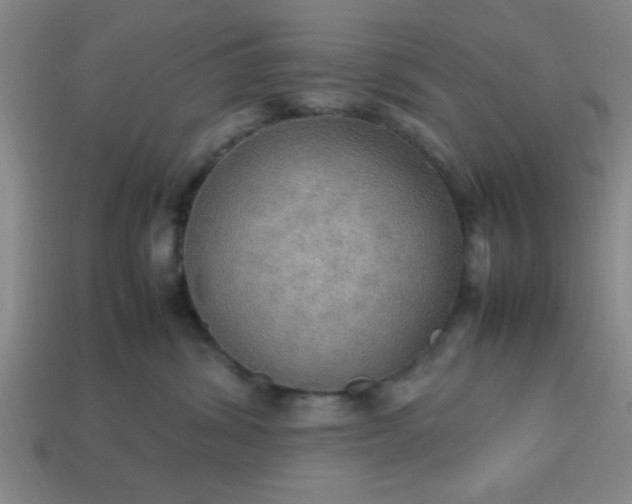 X0000113780428200910071227