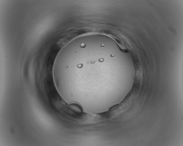 X0000113780429200910071227