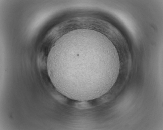 X0000113780431200910071227