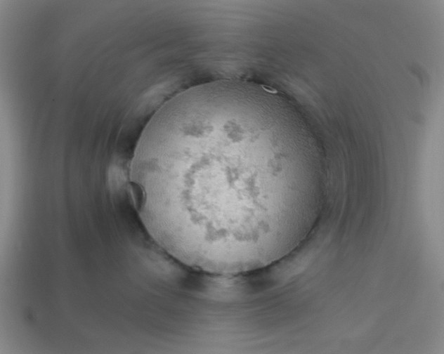 X0000113780432200910071227