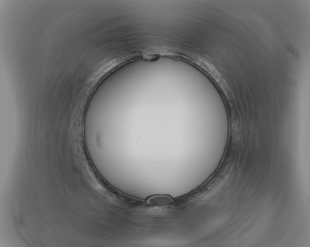 X0000113780433200910071227