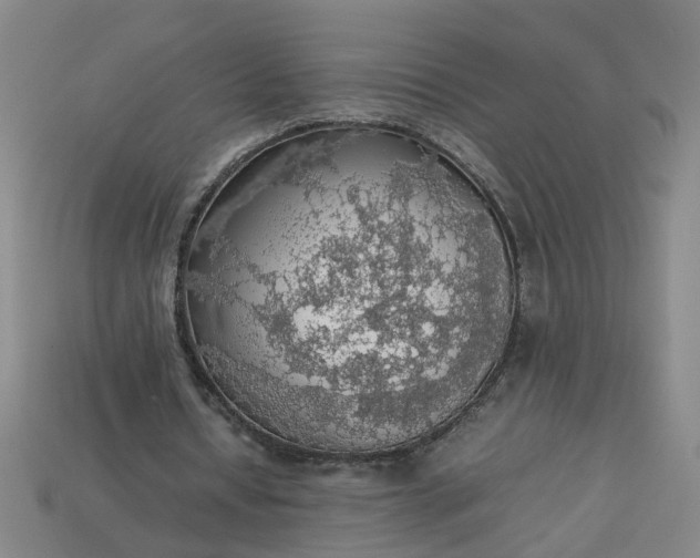 X0000113780434200910071227