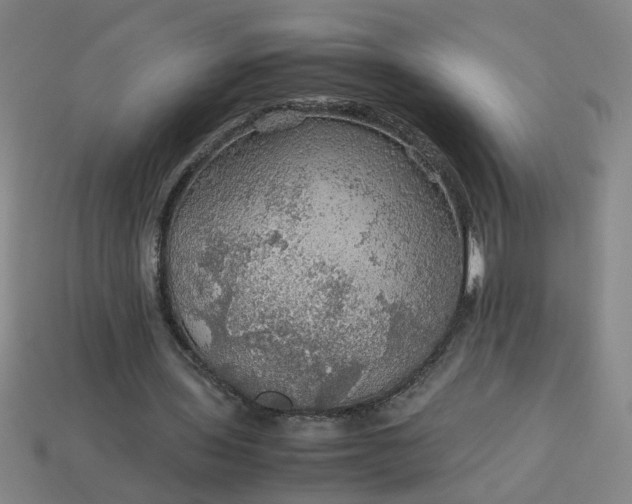 X0000113780435200910071227