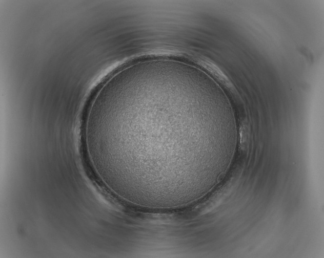 X0000113780436200910071227