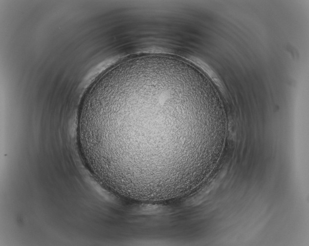 X0000113780437200910071227