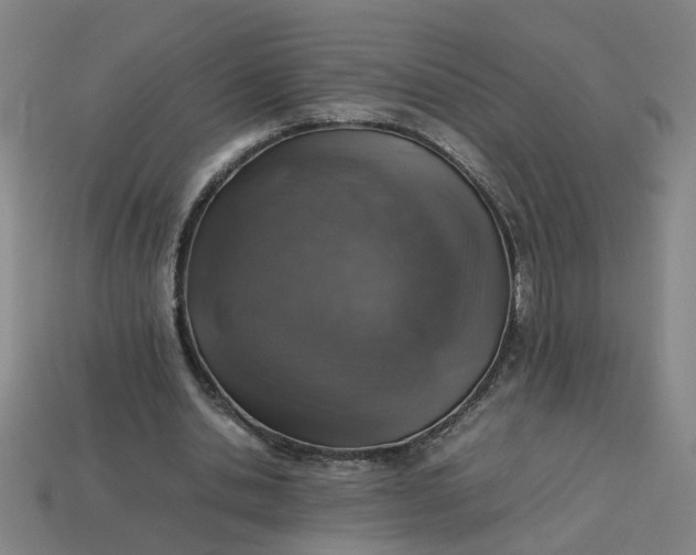 X0000113780438200910071227