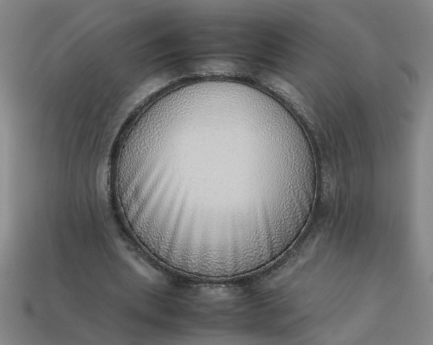 X0000113780439200910071227