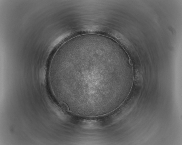 X0000113780440200910071227