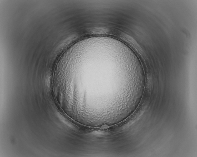 X0000113780441200910071227