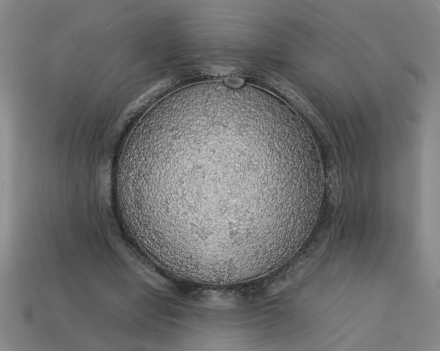 X0000113780442200910071227