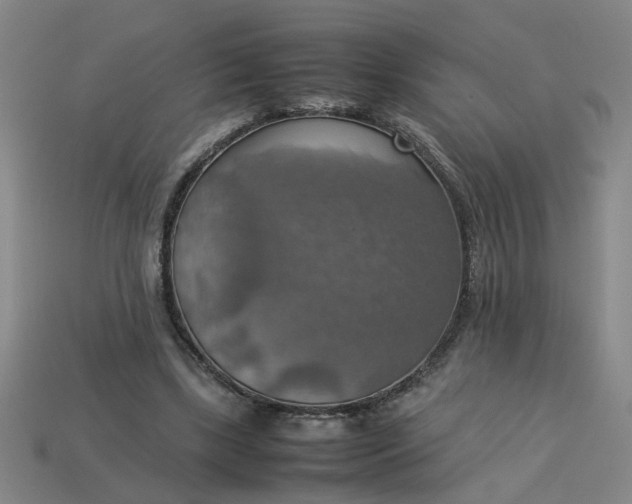 X0000113780443200910071227