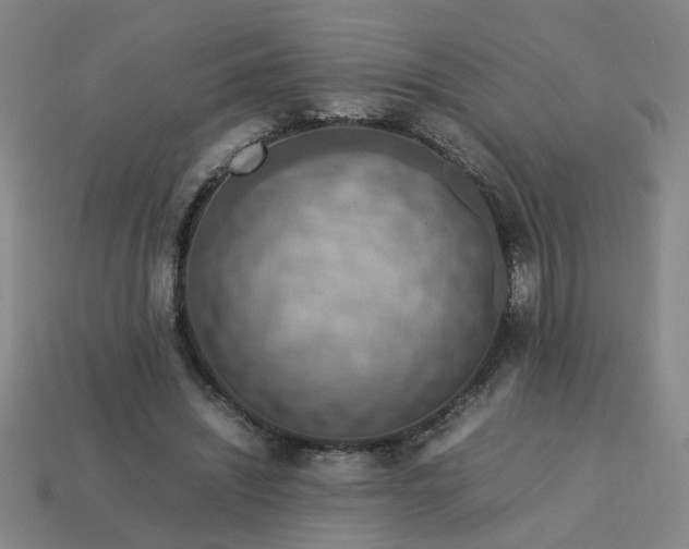 X0000113780444200910071227