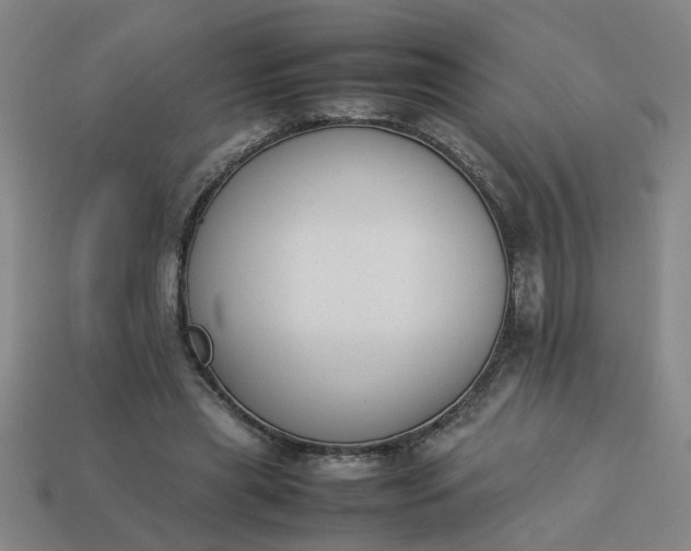 X0000113780445200910071227