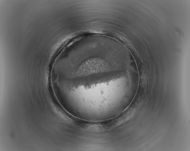 X0000113780446200910071227