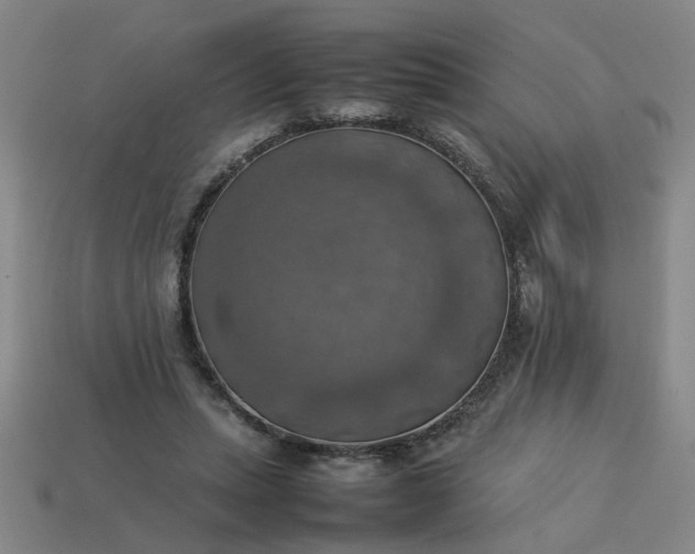 X0000113780447200910071227