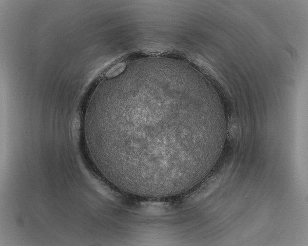 X0000113780448200910071227