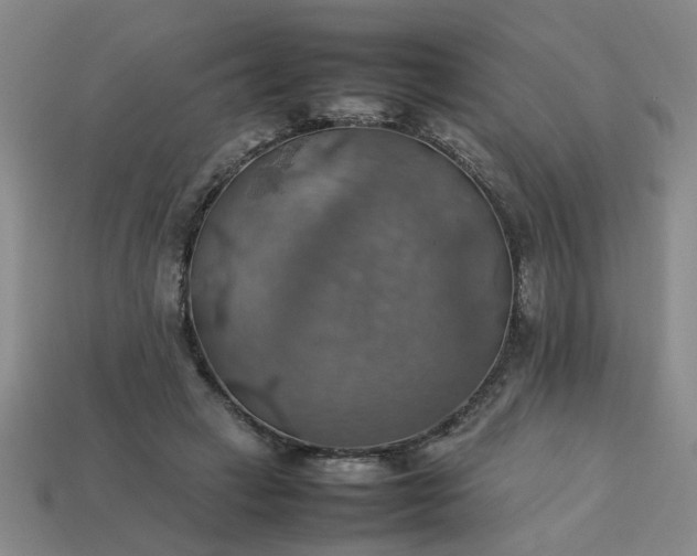 X0000113780449200910071227