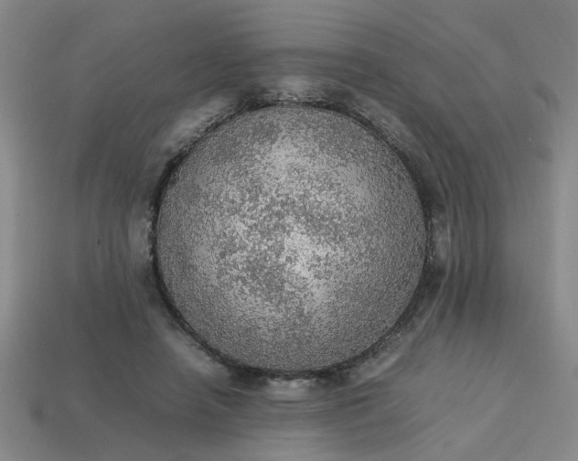 X0000113780450200910071227