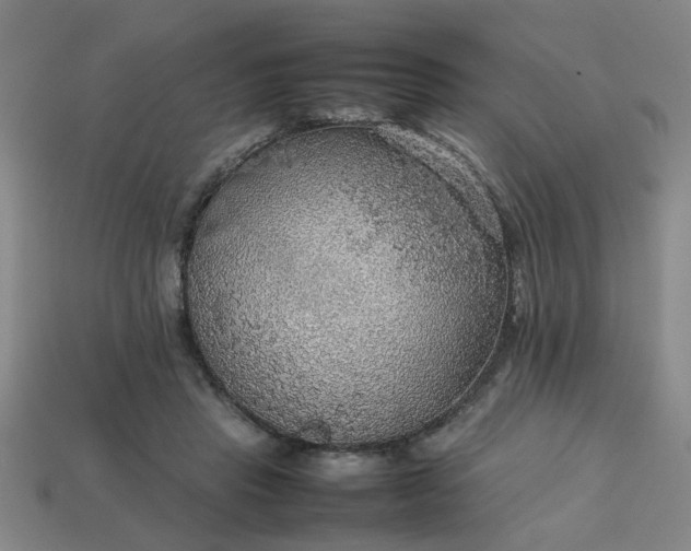 X0000113780453200910071227