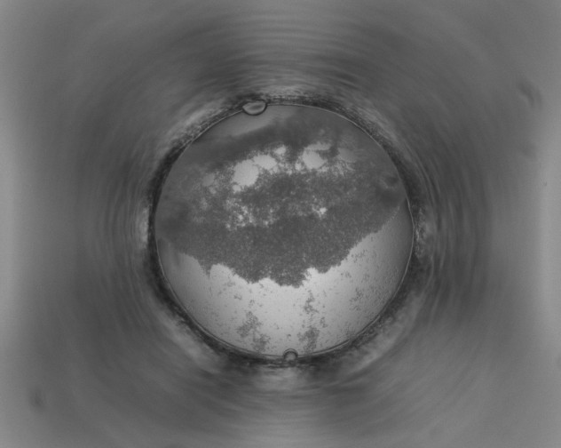 X0000113780454200910071227